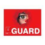 Buy iBall Guard CCTV Camera