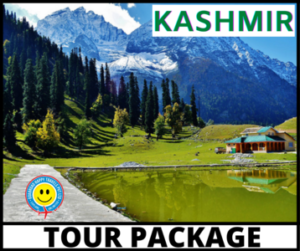 Best Tours and Travel Services in India