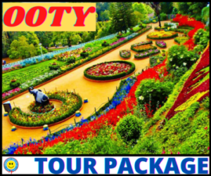 Best Tours and Travel Services in India